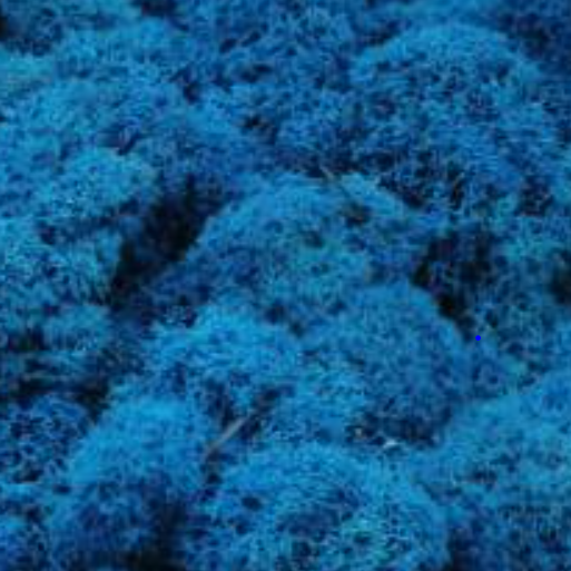 Blau