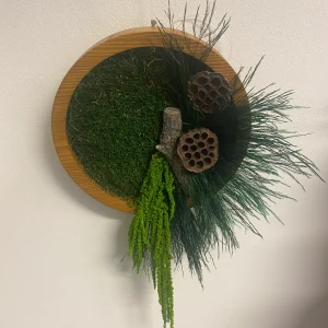 Rundes Moosbild kleiner Aravant